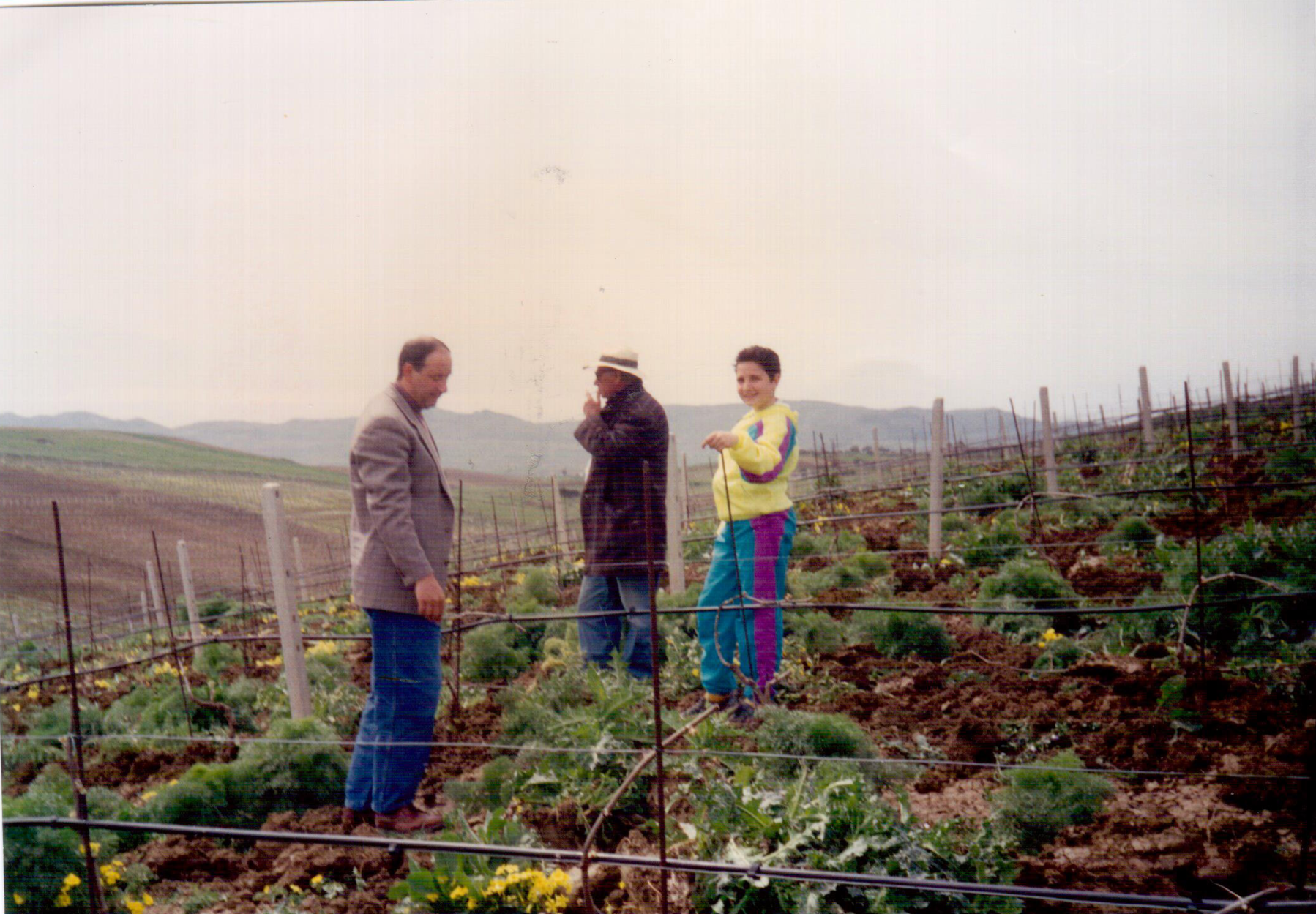 I Vini di Tonnino - Azienda vitivinicola Alcamo