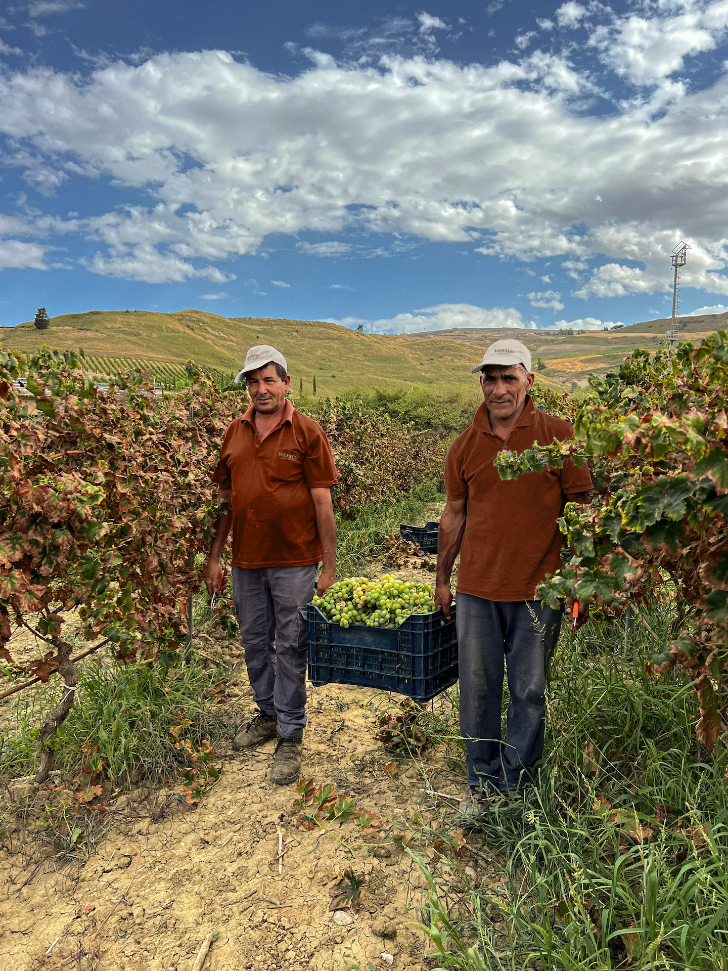 I Vini di Tonnino - Azienda ascoltiamo la natura