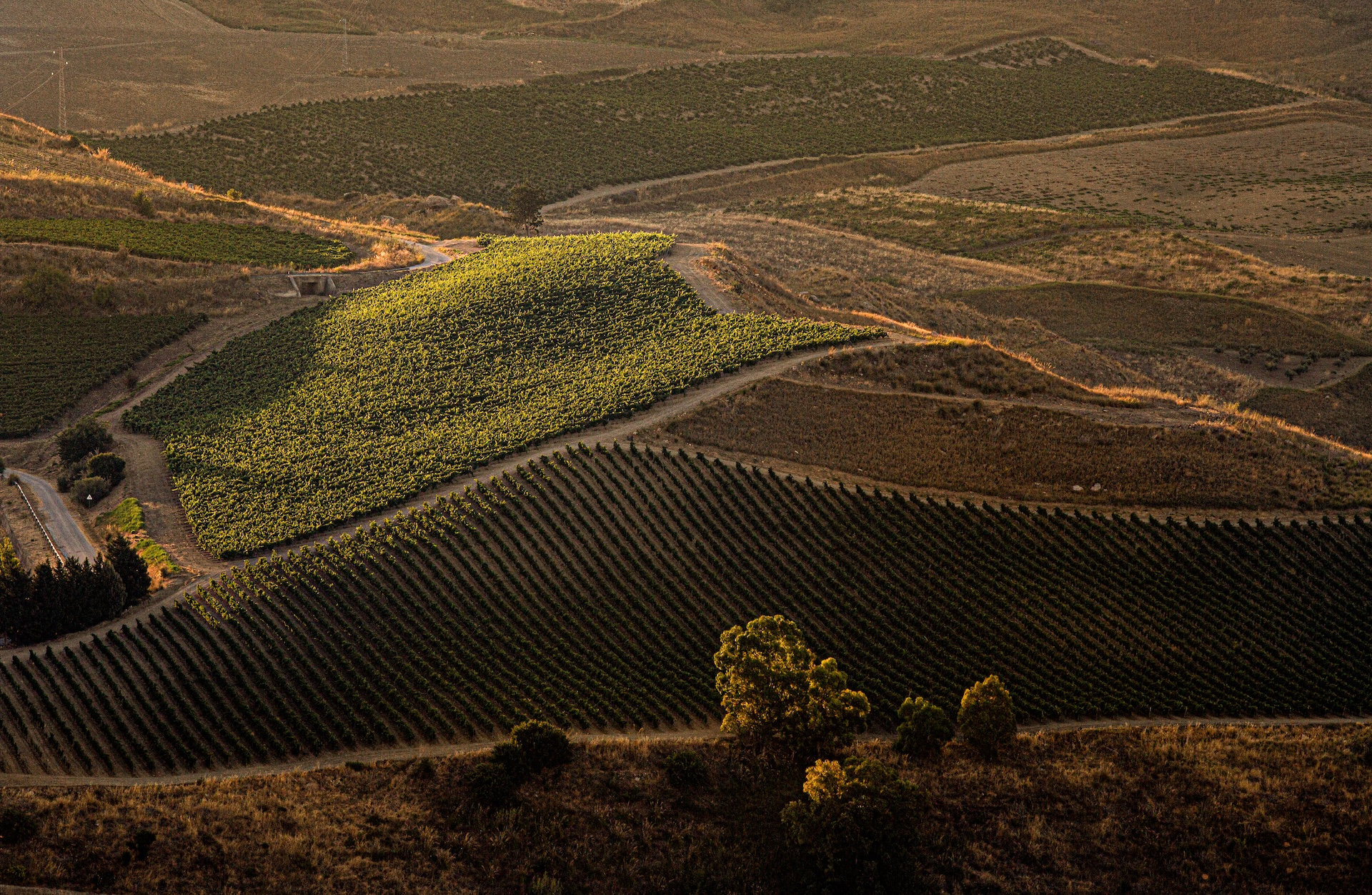 I Vini Di Tonnino - Vigne Tramonto